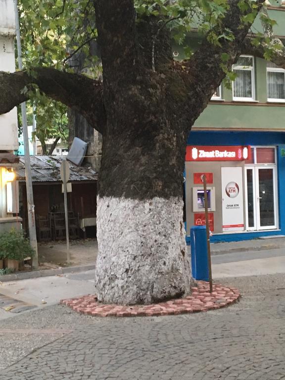 Tirilye Evi Otel Zeytinbagi Exterior foto
